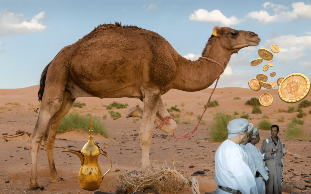 Omã Inaugura Moderno Centro de Mineração e Hospedagem de Dados Bitcoin