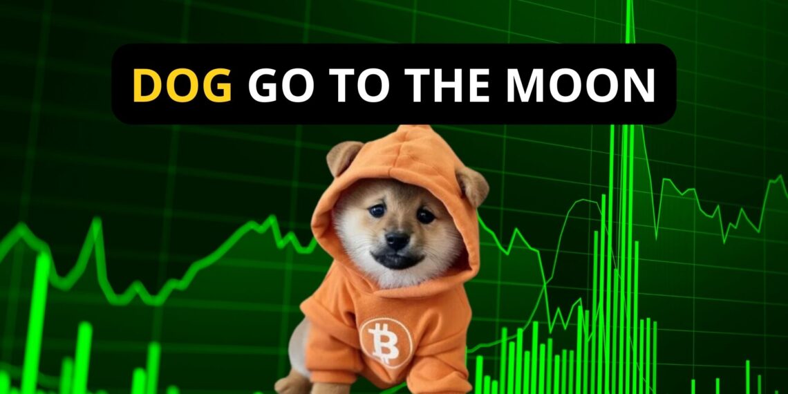 DOG GO TO THE MOON – Moeda Meme em alta!
