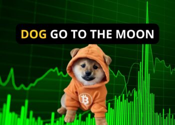 DOG GO TO THE MOON – Moeda Meme em alta!