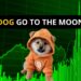DOG GO TO THE MOON – Moeda Meme em alta!