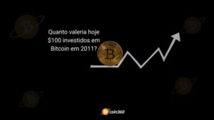 Quanto valeria hoje $100 investidos em Bitcoin em 2011?