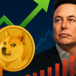 Dogecoin: Proposta de Elon Musk gera absorção de 3 bilhões em DOGE e riscos de liquidação de $10 milhões na Hyperliquid