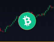 Qual Será o Preço do Bitcoin Cash de 2026 a 2030? Análise Completa