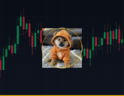 Qual Será o Preço do Dog (Bitcoin) de 2026 a 2030? Análise Completa