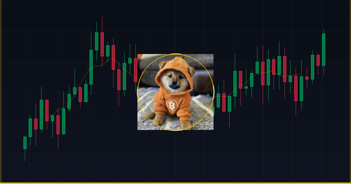 Qual Será o Preço do Dog (Bitcoin) de 2026 a 2030? Análise Completa