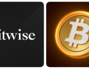 Bitwise alerta: investidores de longo prazo devem mirar o topo do ciclo Bitcoin, não o fundo