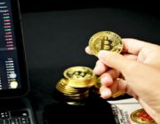 Bull Market vs Bear Market em Cripto: Como Agir